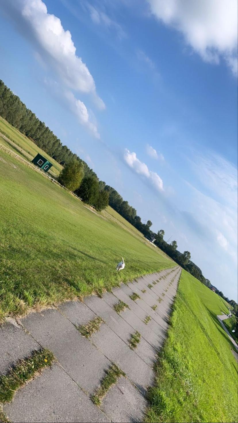 Strandhaus Nina - Ferienhaus Hooksiel Bagian luar foto